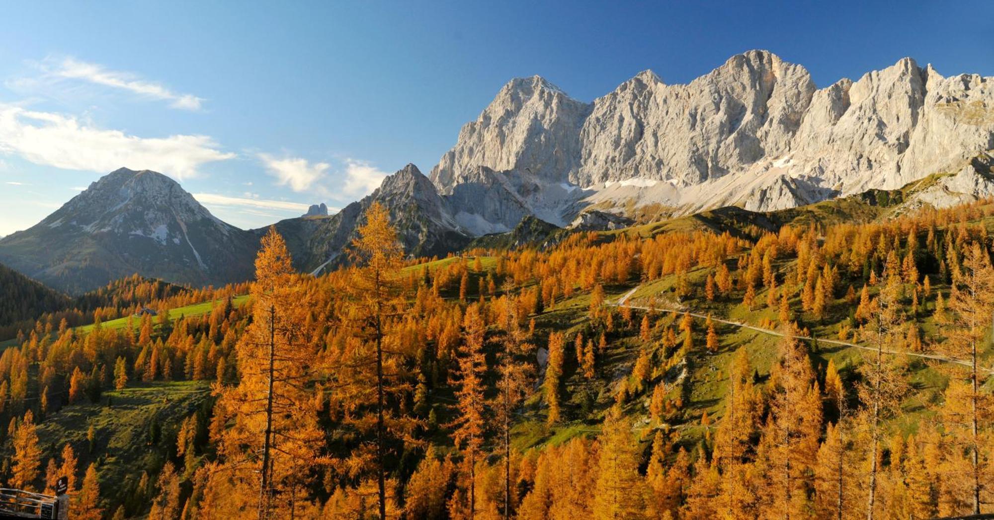 Naturchalet Hoeflehner - Heimgefuehl & Ruhelage An Loipe & Wanderweg Ramsau am Dachstein Exteriör bild